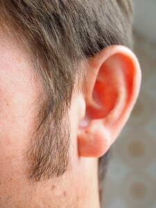 Person human auricle