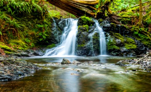 Forked waterfall photo