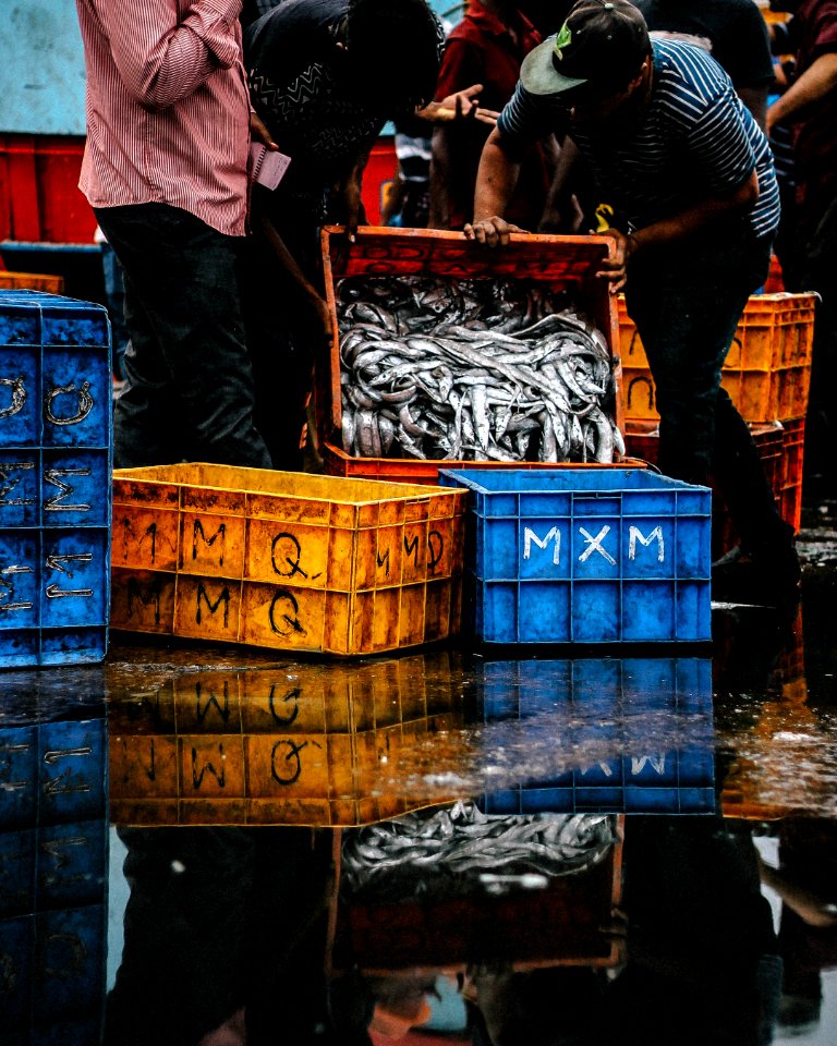 Fresh catch at a fish market 