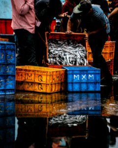Fresh catch at a fish market 