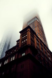 Giant in the mist 