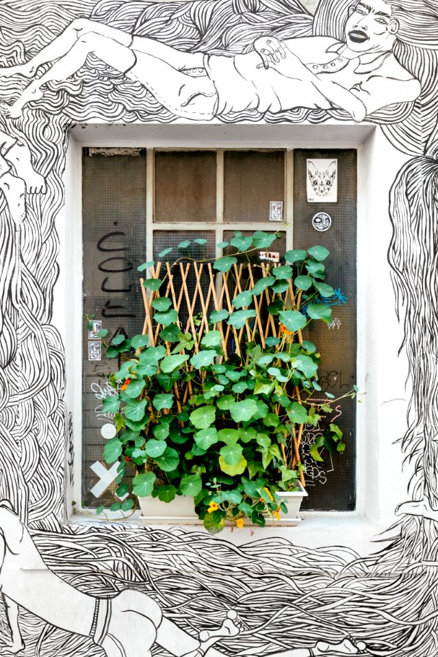 Green plant and artwork 