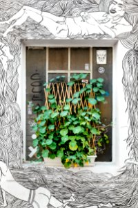 Green plant and artwork 