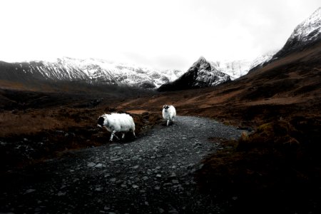 Guardians of the Fairy Pools photo