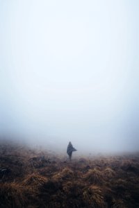 Half remembered dream 