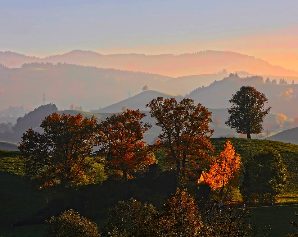 Hirzel spring forest sunset 