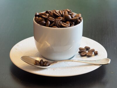 Coffee cup coffee beans still life photo