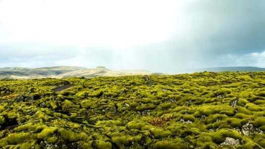 Iceland 
