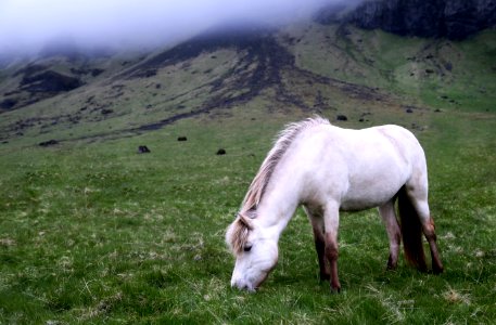 Iceland photo