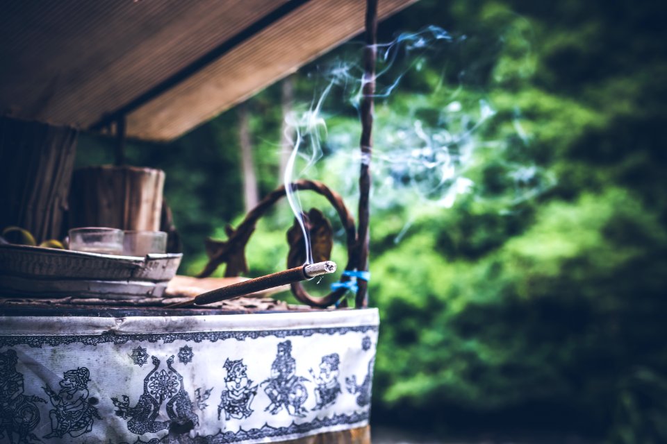 Incense stick in balinese rainforest. 