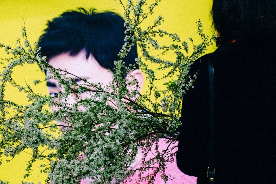 Joonghoon Shin 2017 