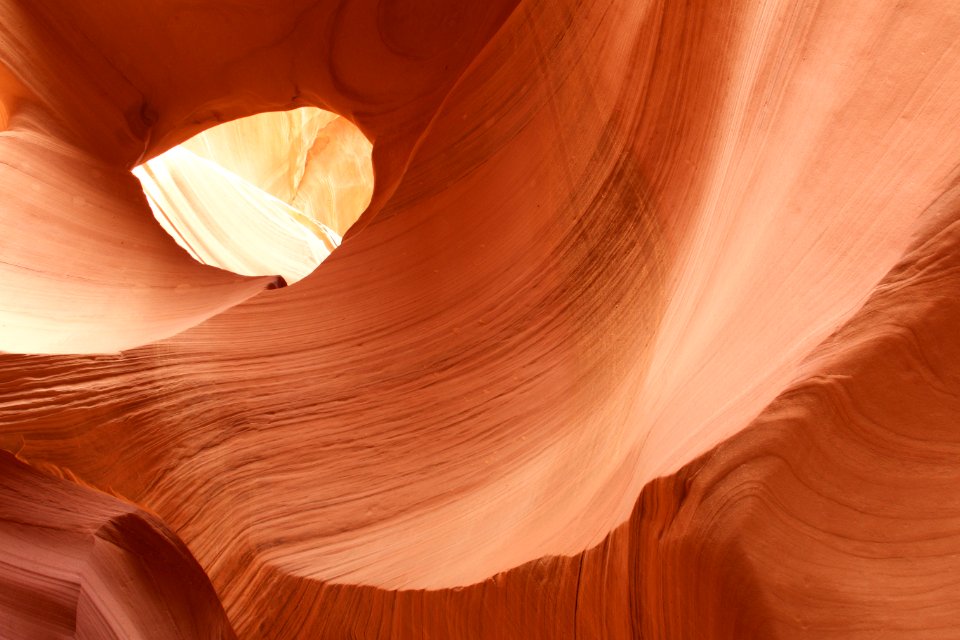 No Antelopes Here- 