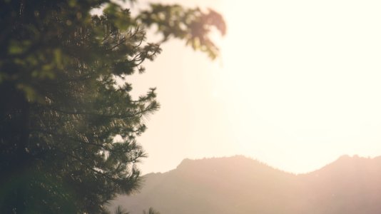 On The Horizon 