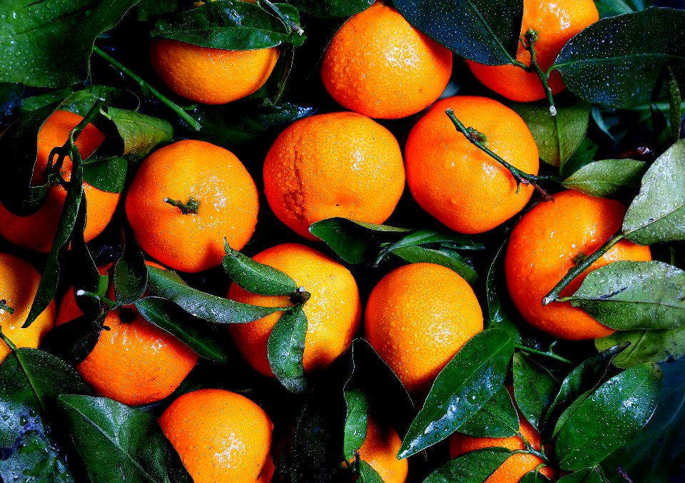 Orange Fruit 