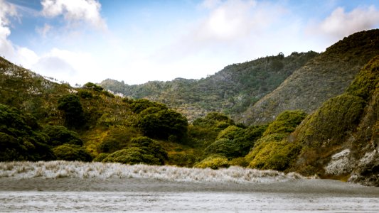 Piha, New Zealand 
