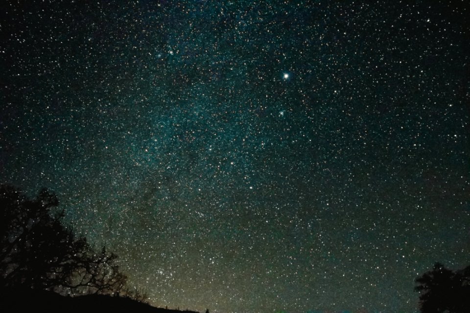 Pinnacles National Park 