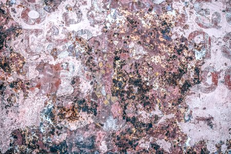 Pink Grungy Texture photo