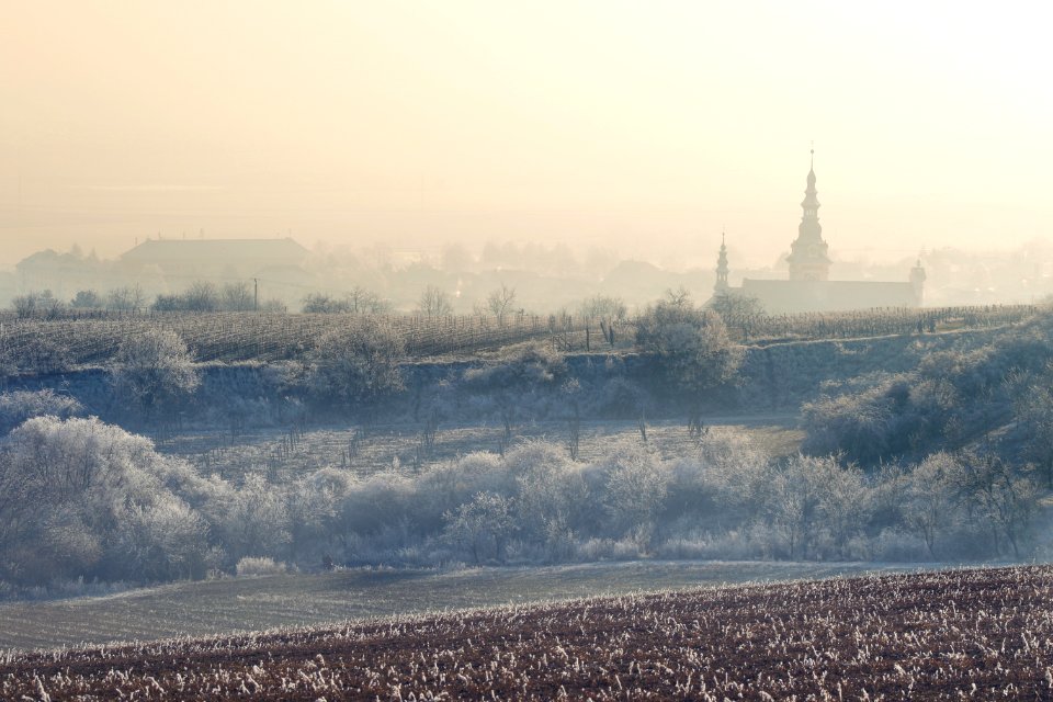 Polešovice, Czechia 