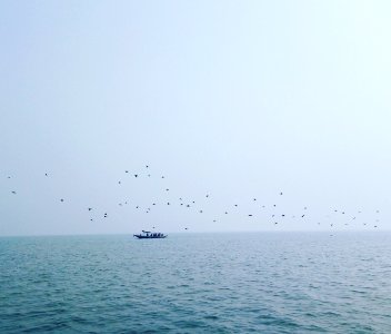 Prayasi Panda 2017 