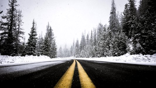 Road in snowy forest 
