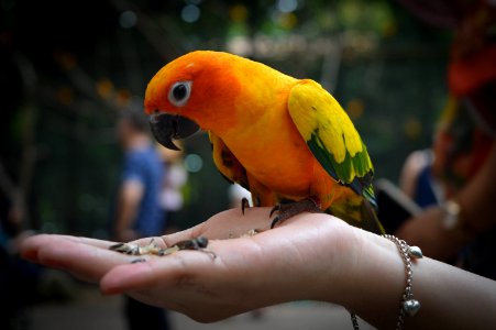 Safari World, Bangkok, Thailand 