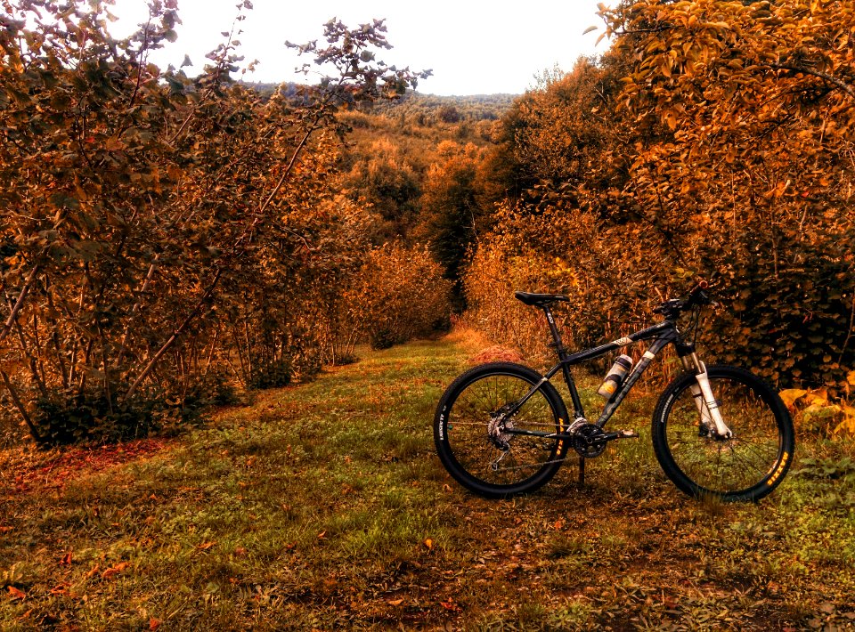 Sakarya, Adapazarı, Turkey 