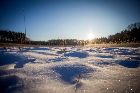 Landscape winter cold morning sun photo