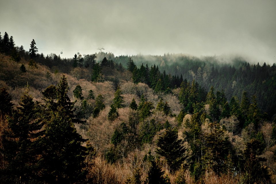 Ski lift behind a wooded hill 
