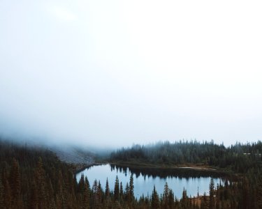 Small tree-lined lake photo