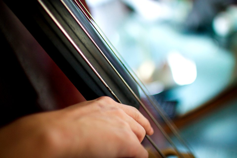 String musician's hands 