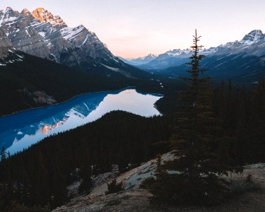 Sunrise at Peyto Lake, Alberta photo