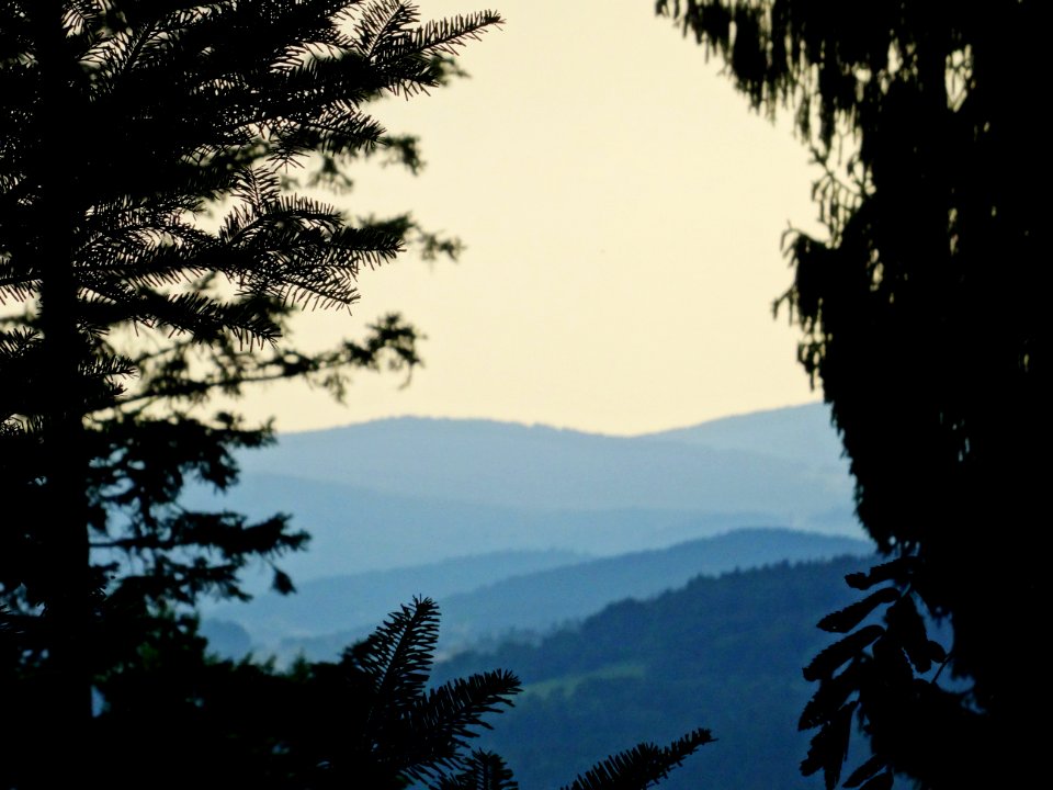 Sunset over green hills 