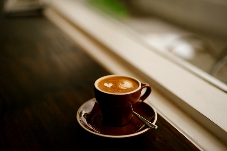 The Vernon Coffee, Woollahra, Australia 