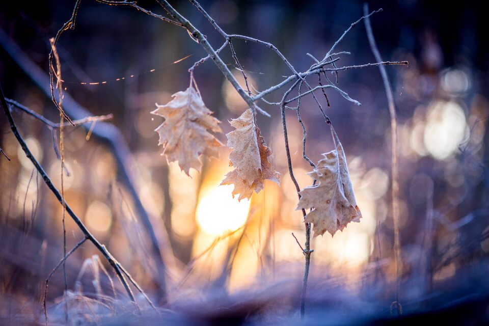 Nature landscape mood