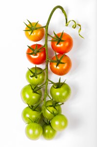 Bunch isolated food