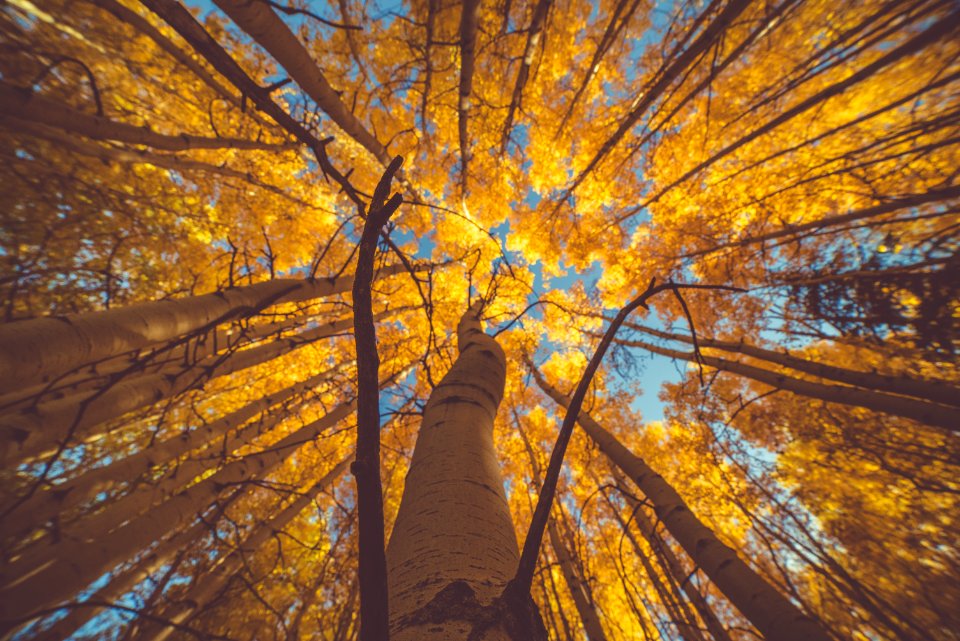 Vail, United States 