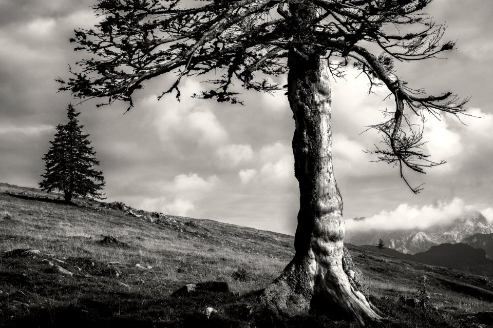 Velika planina-117282