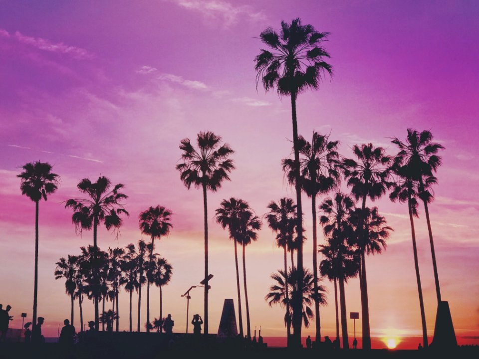 Venice, Los Angeles, United States 