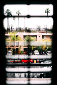 View on the suburb through the window blinds 