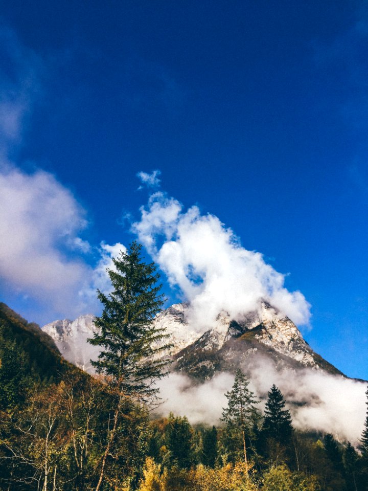 View of Mt. Kanin and trees from Bovec 150700