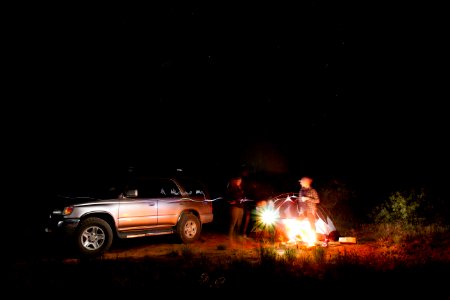 Warm Nights Under the Stars 
