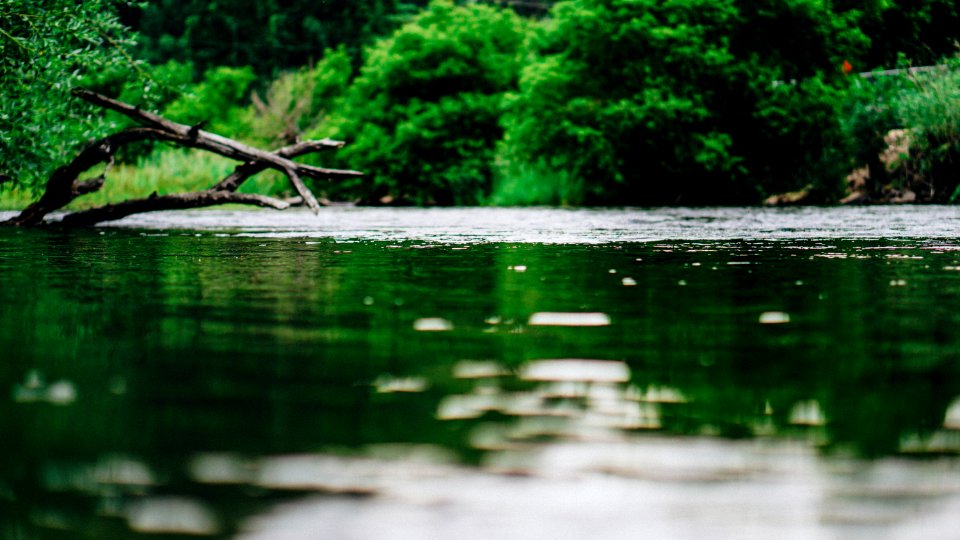 Wild river 