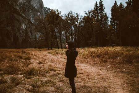 Yosemite Valley, United States photo