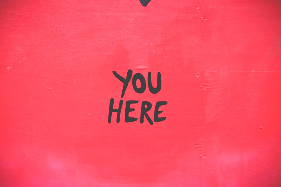 You Here in a Heart photo
