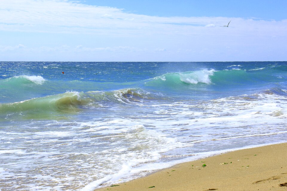 Waves landscape the coast