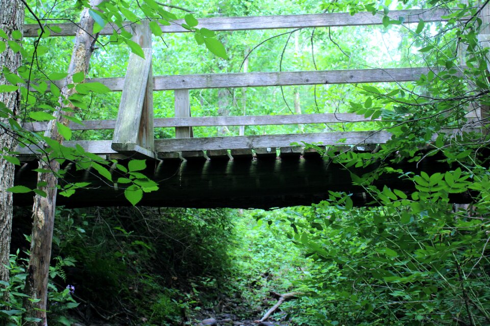 Wooden bridge green bridge green old