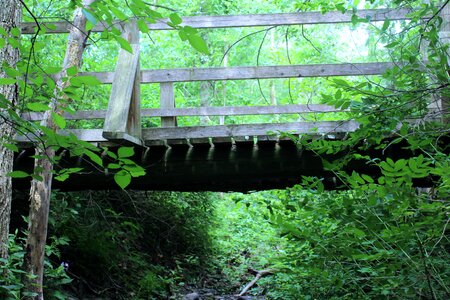 Wooden bridge green bridge green old