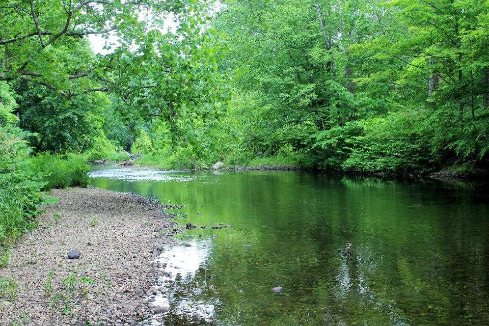 Lazy river water green river
