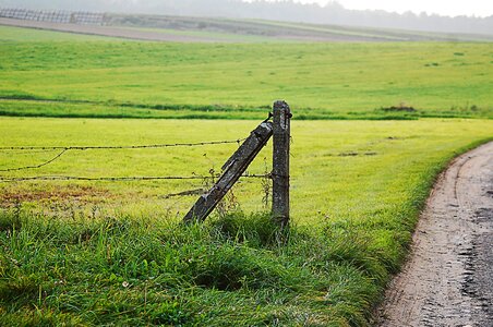 The fence old fence old