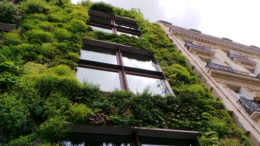 Green nature building photo